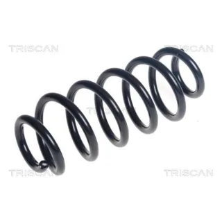 Triscan Feder hinten Mazda Cx-3 875050122