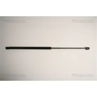 Triscan Gasfeder F?r Heckklappe Ford Fiesta V JHJD