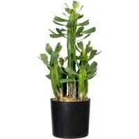 Künstliche Zimmerpflanze Sukkulente Euphorbie Sukkulente Euphorbie, Creativ green, Höhe 40 cm