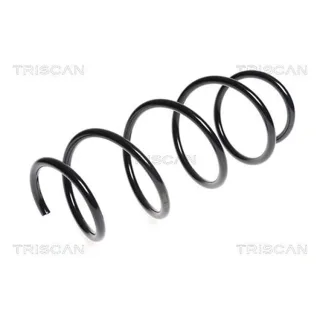 Triscan Feder vorne Mercedes C-Klasse W204 E-Klasse 875023132