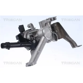 Triscan AGR-Ventil Citroen DS Opel Peugeot Toyota 1,6