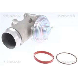Triscan AGR-Ventil BMW 3er 5er 7er X5 3,0