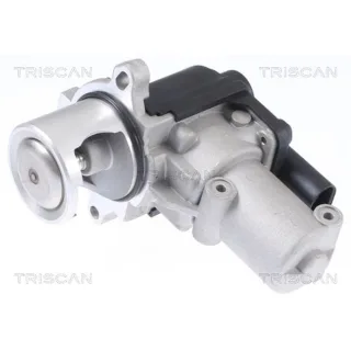Triscan AGR-Ventil VW Transporter T5 T6 2,0
