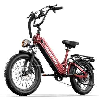 [EU DIRECT] CLEYTRO XC20 Electric Bike 48V 15.6Ah 500W Motor Recommended Top Speed 25KM/H 20*3.0 Inch All Terrain Fat Ti
