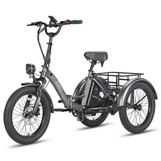 [EU Direct] FAFREES F20 MATE Electric Tricycle Cargo 48V 20AH Battery 250W Motor Top Speed 25KM/H HydraulicDisc Brakes 2