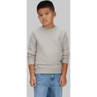 Calvin Klein Jeans Sweatshirt MONO MINI BADGE REG CN für Kinder bis 16 Jahre mit Logoschriftzug