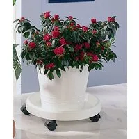 Ruco Blumentopfuntersetzer - Aufstellfläche bzw. Innenmaß ca. 30 cm, Set, 2-tlg., Kunststoff, Ø 34 cm