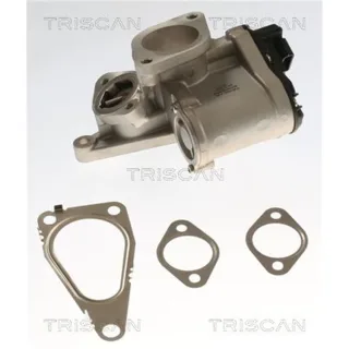 Triscan AGR-Ventil Renault Grand Laguna Megane Sc?nic 1,9 881325201