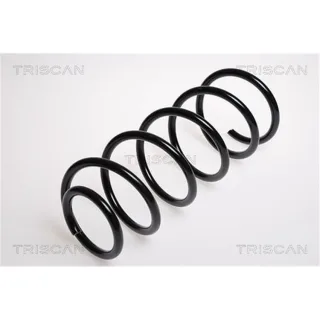 Triscan Feder vorne VW Lupo
