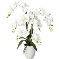 Kunstorchidee Deko-Orchidee Phalaenopsis im Keramiktopf Orchidee Phalenopsis, Creativ green, Höhe 67 cm