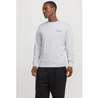 Jack & Jones Sweatshirt JJEBRADLEY GRAPHIC SWEAT CREW NOOS mit Front und Back Print