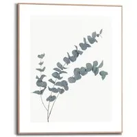 Reinders! Bild mit Rahmen Eucalyptus, (1 St)
