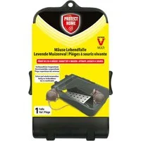 Protect Home Lebendfalle Mäuse Lebendfalle Multi 1 Stück