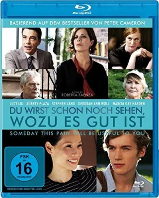 Du wirst schon noch sehen wozu es gut ist [Blu-ray]