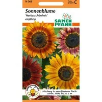 SAMEN PFANN Blumensamen Sonnenblume, Herbstschönheit - Saatgut SonnenSamen, Helianthus annuus