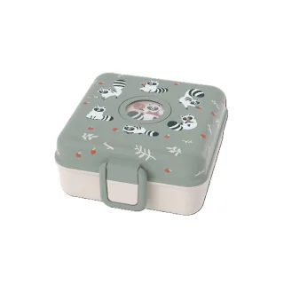 Lunchbox RACCOON