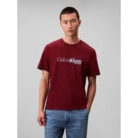 Calvin Klein T-Shirt SS 20S EU CALVIN CURSIVE GRAPHIC Mit Rundhalsausschnitt, regular fit
