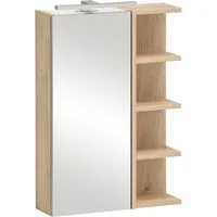Schildmeyer Spiegelschrank Mads, Spiegelschrank, Made in Germany, B: 49,7 cm (1-St) Solide Verarbeitung - Dieses Produkt ist in Deutschland gefertigt