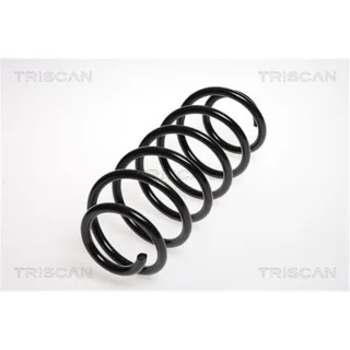 Triscan Feder hinten Citroen C1 Peugeot 107 Toyota Aygo