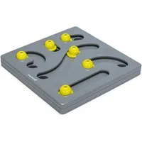 Beeztees Tier-Intelligenzspielzeug Beeztees Brain Game Looki