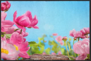 Fussmatte 4633 | Größe: 60 cm x 45 cm