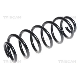 Triscan Feder hinten Peugeot 3008 875028181