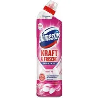 DOMESTOS Floral Fresh WC-Reiniger (750 ml)