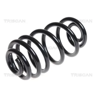 Triscan Feder hinten Opel Insignia Saab 9-5 875024165