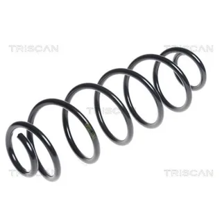 Triscan Feder hinten Citroen C3 875028188