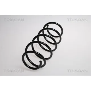 Triscan Feder vorne Fiat Panda 169