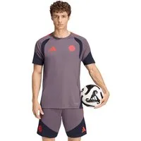 adidas Performance T-Shirt FC Bayern München, Trainingsshirt UCL Teamline, Herren, Lila