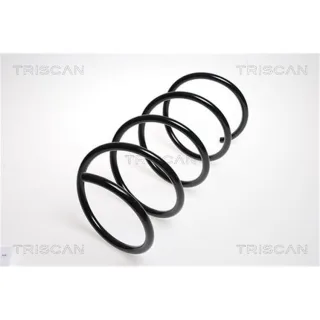 Triscan Feder vorne Mercedes C-Klasse Clc-Klasse Clk 875023124