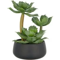Kunstpflanze Echeveria, Creativ green, Höhe 28 cm, mit dekorativem Kies