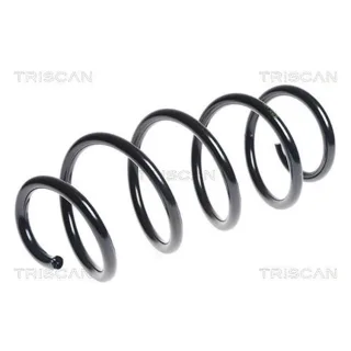 Triscan Feder vorne VW Caddy Tiguan 875029256