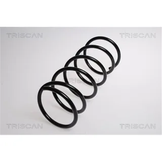 Triscan Feder vorne Citroen Berlingo Peugeot Partner 875028116