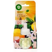 Air Wick Duftöl Duftölflakon Anti-Tabak Nachfüller (19 ml), mit natürlichen ätherischen Ölen