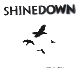 The Sound of Madness [Audio CD] Shinedown