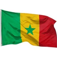 PHENO FLAGS Flagge Senegal Flagge 90 x 150 cm Senegalesische Fahne (Hissflagge für Fahnenmast), Inkl. 2 Messing Ösen