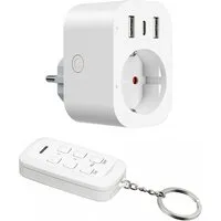 DEWENWILS Funksteckdose mit Fernbedienung, max. 3680 W, 1-St., 4-in-1 Mehrfachsteckdose mit USB