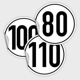 Wiederverwendbar - im 3er Set Wohnmobil 80,100,110 km/h - Geschwindigkeitsschild nach § 58 StVZO - Saugnapffolie