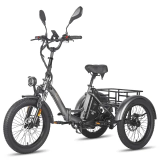 [EU DIRECT] FAFREES F20 MATE Electric Tricycle with EU L2e-P Certification 48V 21Ah Battery 500W Motor Recommended Top S
