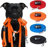 Reichstadt Hundeleine RS Pets Führleine PVC 25RSP086, PVC, Weiche Handschlaufe mit Soft-Wrist-Strap