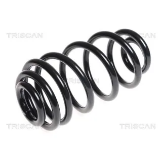 Triscan Feder hinten Opel Insignia A 875024163