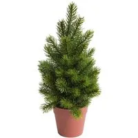 Künstliche Zimmerpflanze Tannenbaum im braunem Kunststofftopf, Botanic-Haus, Höhe 35 cm