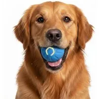 FLOCKI Pets™ Tier-Intelligenzspielzeug Hundespielzeug bewegender Ball, Moving & jumping Ball, mit LED-Beleuchtung, bewegender & springender Ball
