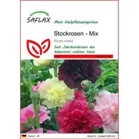 SAFLAX Blumensamen SAFLAX - Samen - Stockrosen - Mix
