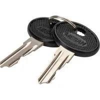 Schlüssel für Varioflex-N, Unique Serverschränke, Unique Wandgehäuse 2 Stück