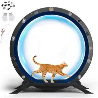 COMHOMA Tier-Intelligenzspielzeug Katzenlaufrad, laufrad Katze, Extra großer 100 cm ultraleises Laufrad, mit Abnehmbarer Teppich und Spielzeug