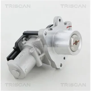 Triscan AGR-Ventil Hyundai Kia 881318045
