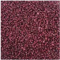 Eurosand Aquarienkies Aquarienkies farbig 2-3 mm Rundkies Bodengrund 5 kg